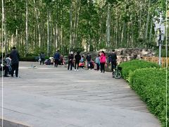 -仁和公园(顺义区)