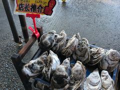生蚝-蚝专家(北滘店)