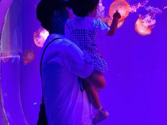 -芜湖新华联大白鲸海洋公园