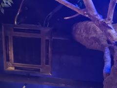 -淀里船宴(卓达店)