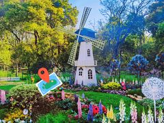 -上海共青森林公园