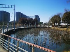 -海天湖公园