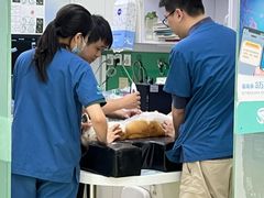 -瑞派动物医院·猫专科·至诚(江南中分院)