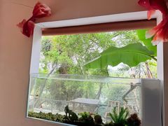 -首都医科大学附属北京天坛医院