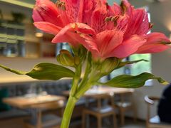 -幸薈飯堂