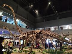 -自贡恐龙博物馆