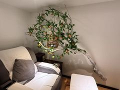 -麦子MaiMassage(打浦桥店)