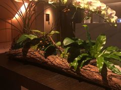 -台北北投丽禧温泉酒店