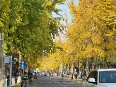 -四川大学(望江校区)