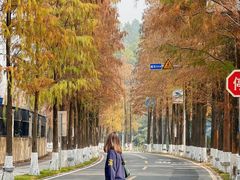 -南沙天后宫景区