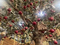 -Cafe Alice咖啡爱丽丝(奥城店)