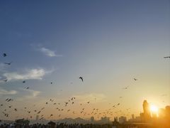 -星海广场