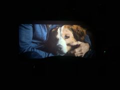 -中影新星影城(万科锦程店)