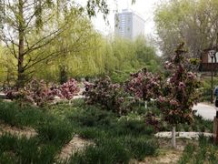 -元大都城垣遗址公园