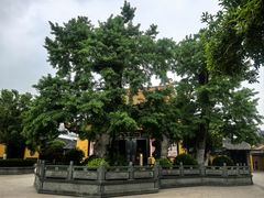 -圆通寺