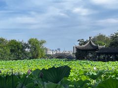 -高子水居