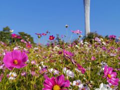 -二沙岛艺术公园