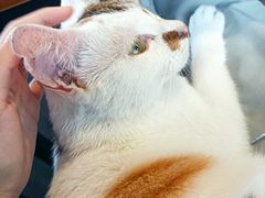 -转山咖啡(松柏社区店)