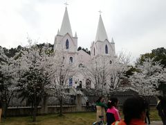 -团城山公园