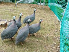 -扬州瘦西湖温泉