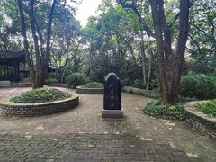 -上海佘山国家森林公园天马山园