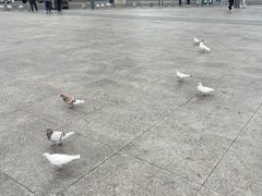 -海河外滩公园