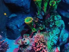 -沈阳海洋探索中心