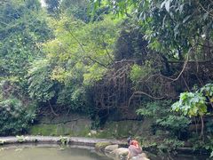 -燕晗山郊野公园
