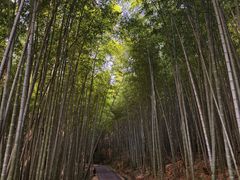 -苏州环秀晓筑养生度假村