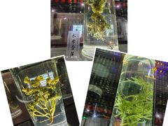 -广东中医药博物馆