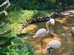 -昆明动物园
