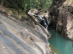 -广州白江湖森林公园