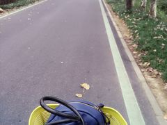 -合肥滨湖国家森林公园