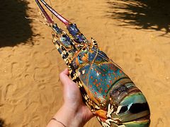 -Green Lobster Waskaduwa Seafood Restaurant