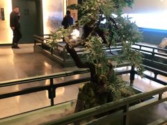 -潮上潮(南中环店)