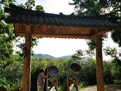 -东湖落雁景区