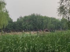 -舍利塔滩地公园-无垢净光舍利塔