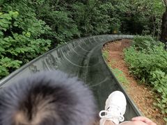 -富斯特索道