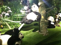 -成都泰迪熊博物馆