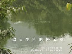 -龙坞茶村