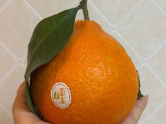 -DRUNK BAKER(上海恒丰路店)