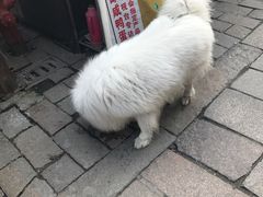 -荣阳楼(山塘街店)
