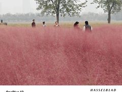 -汉长安城未央宫国家考古遗址公园