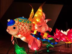 -武汉园博园(武汉自然博物馆)