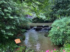 -中国茶叶博物馆(双峰馆区)