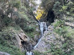 -石台牯牛降景区