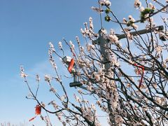 -香山公园
