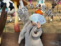 -荷兰花海