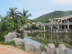 -三亚亚龙湾凯莱仙人掌度假酒店