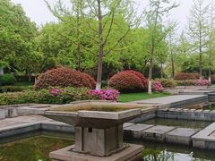 -杭州城北体育公园